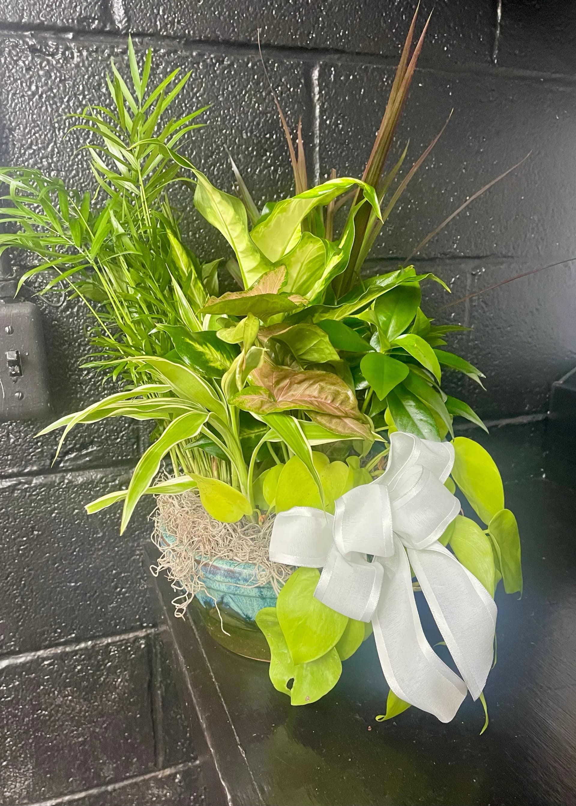 Classic Dish Garden