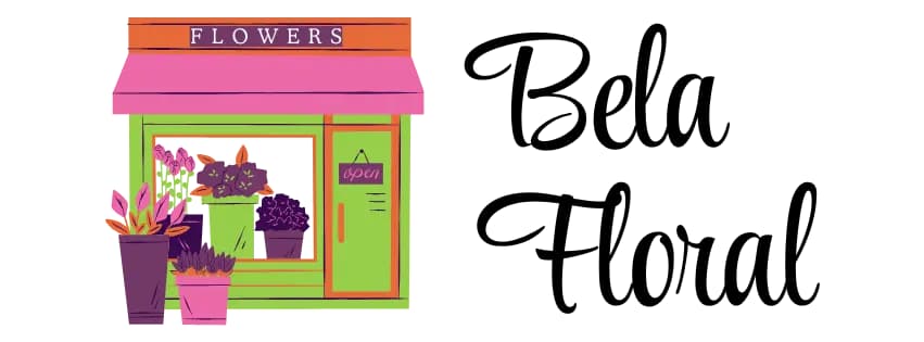 Shop logo