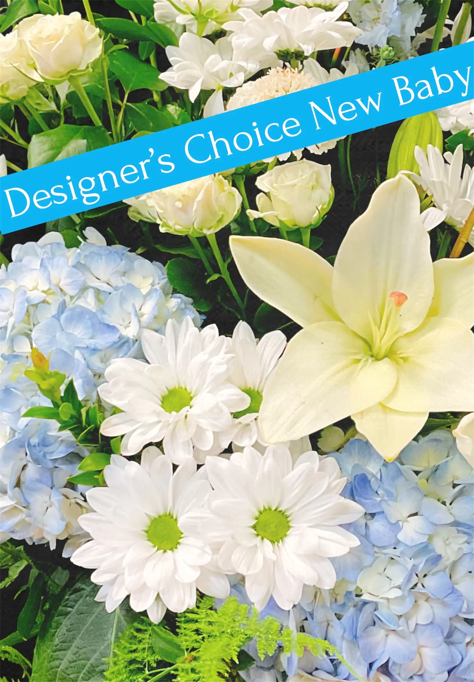 Designers Choice New Baby