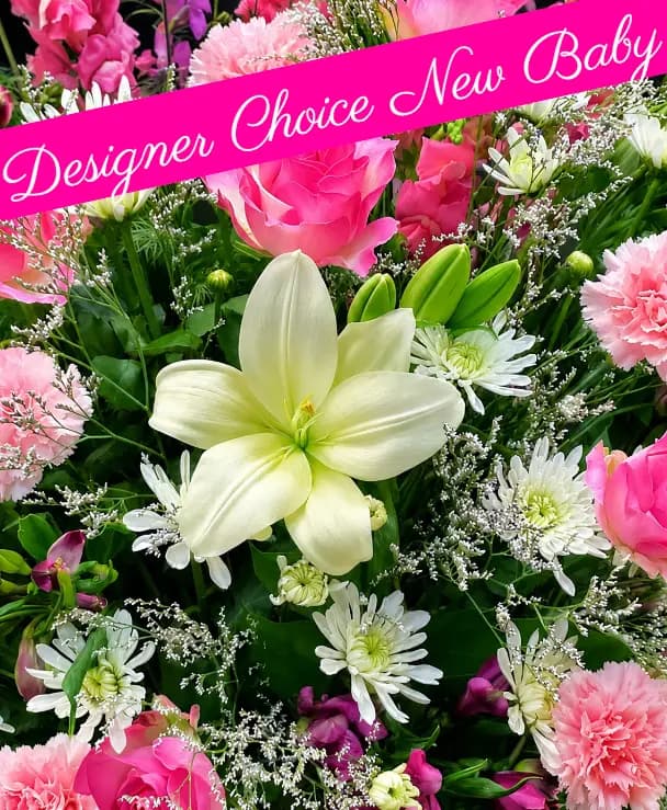 Designers Choice new baby