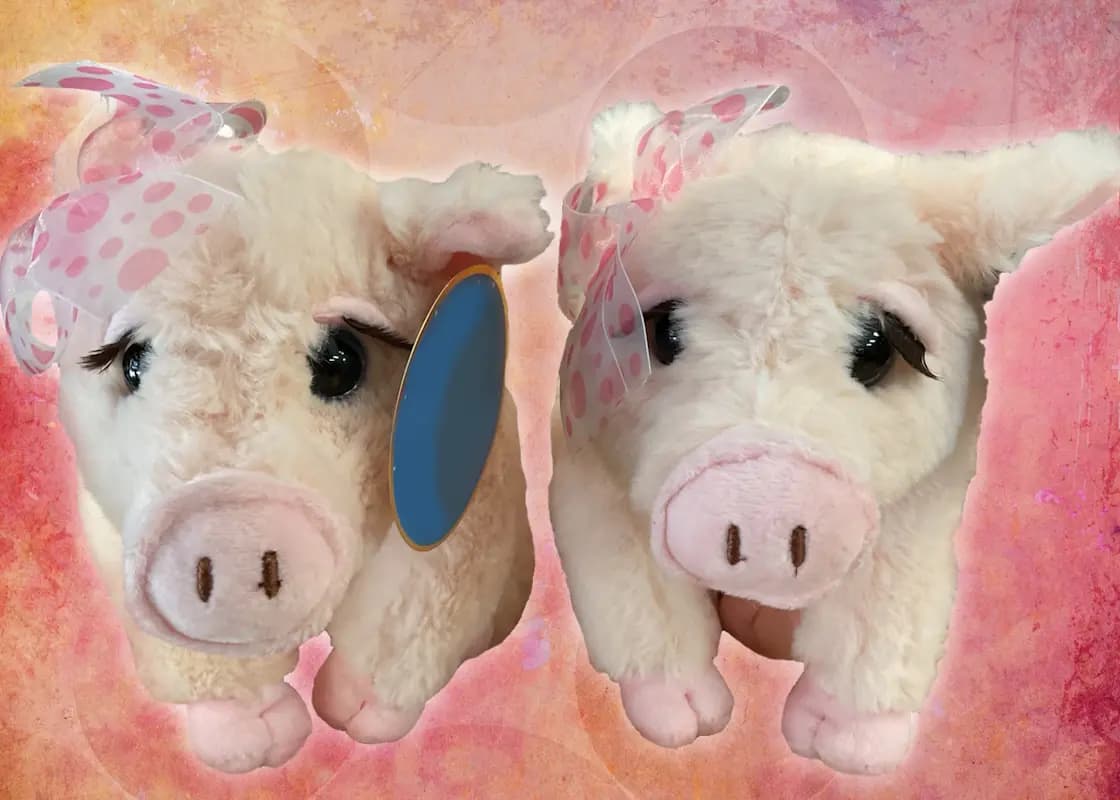 Pretty Piggy