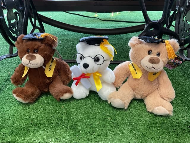 Grad Bears
