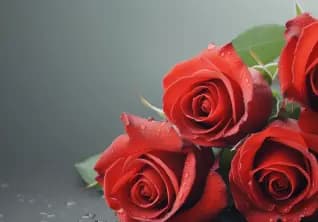 Floral image for Flower shop online store or Floral e-commerce website gallery