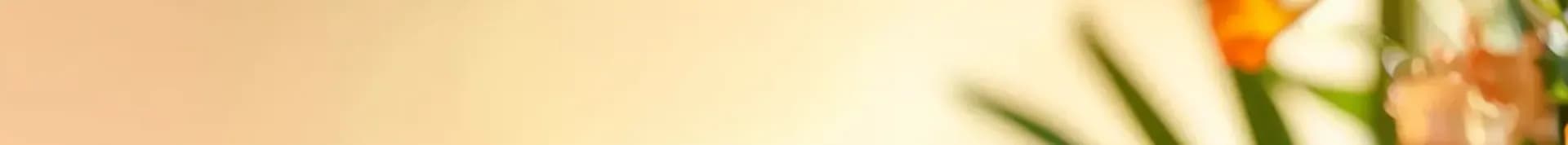friendly website banner for flower shop website homepage during summer. light cream background
