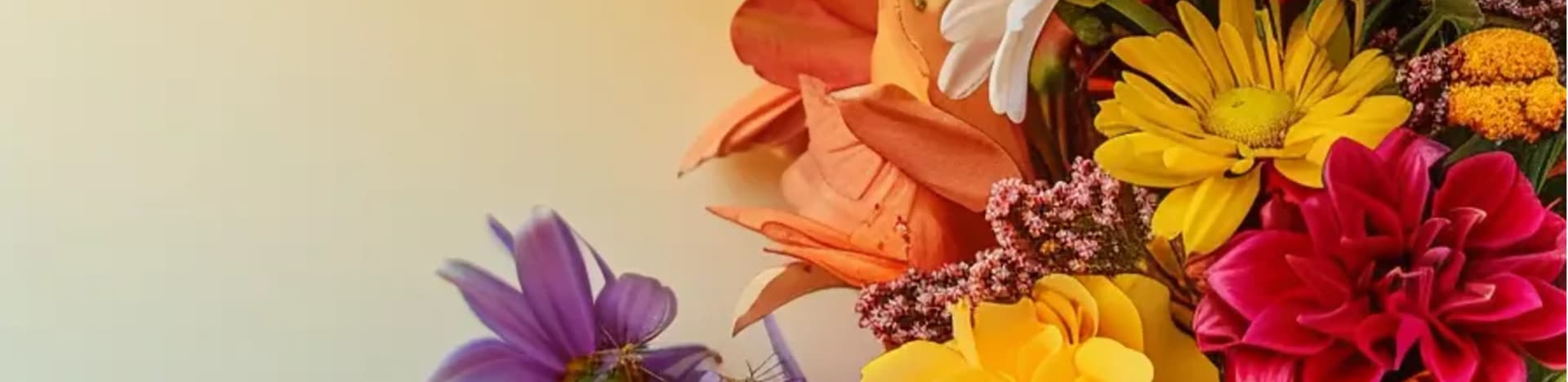 colorful floral bouquets