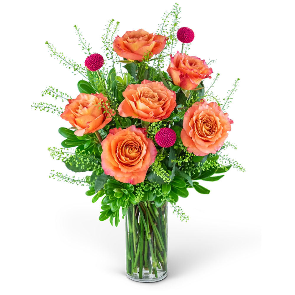 Half Dozen Wild and Free Spirit Roses – photo 2