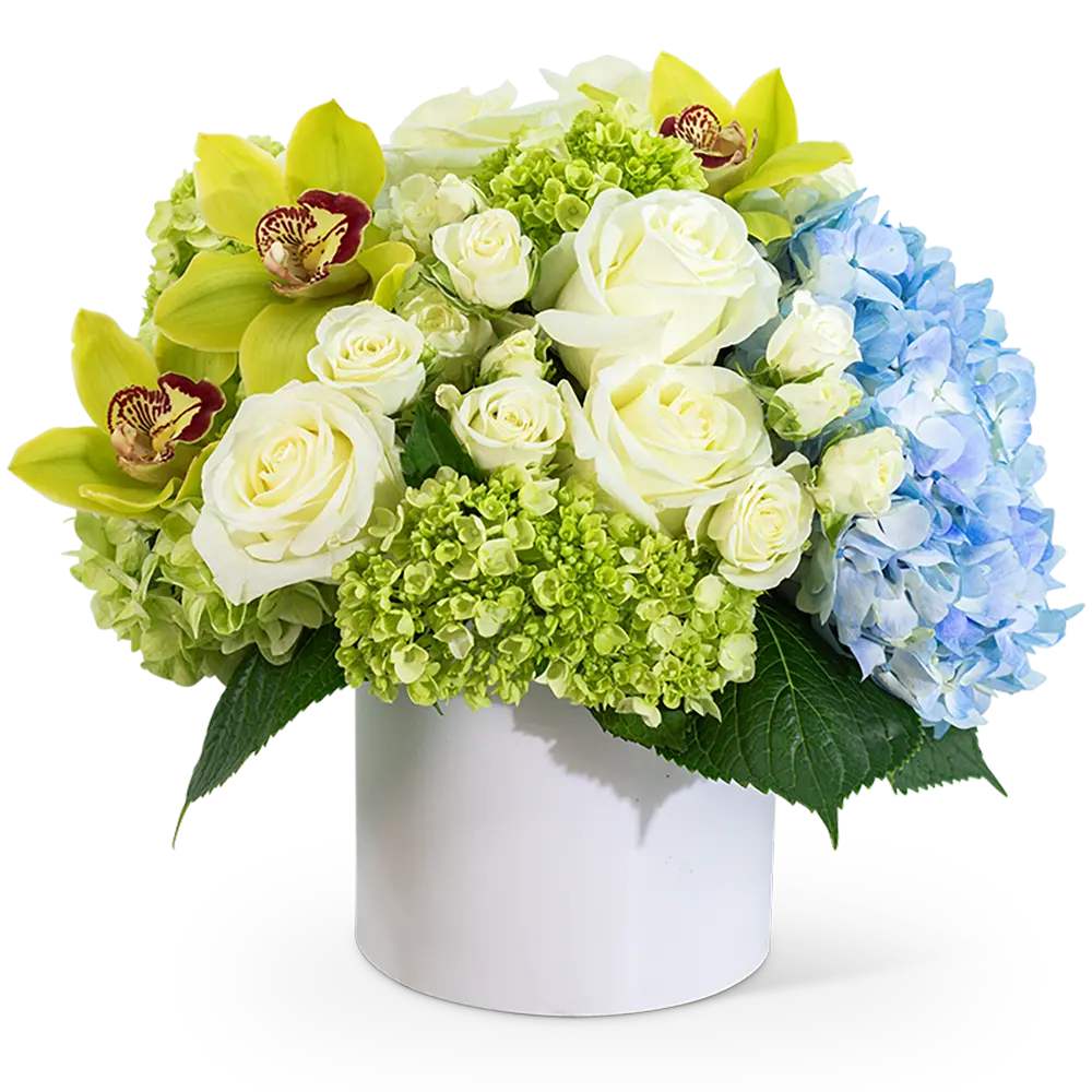 Luxe Home Garden with Orchids – photo 2