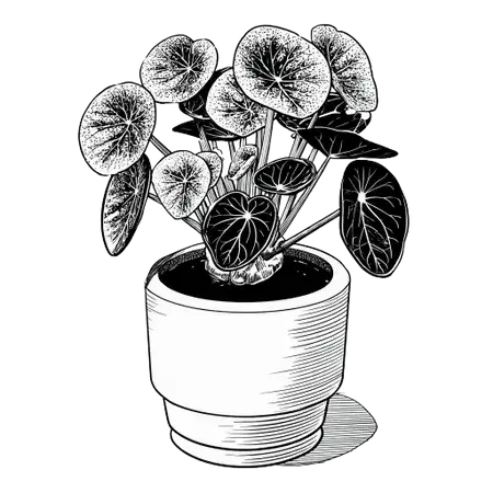 Trusted Growers