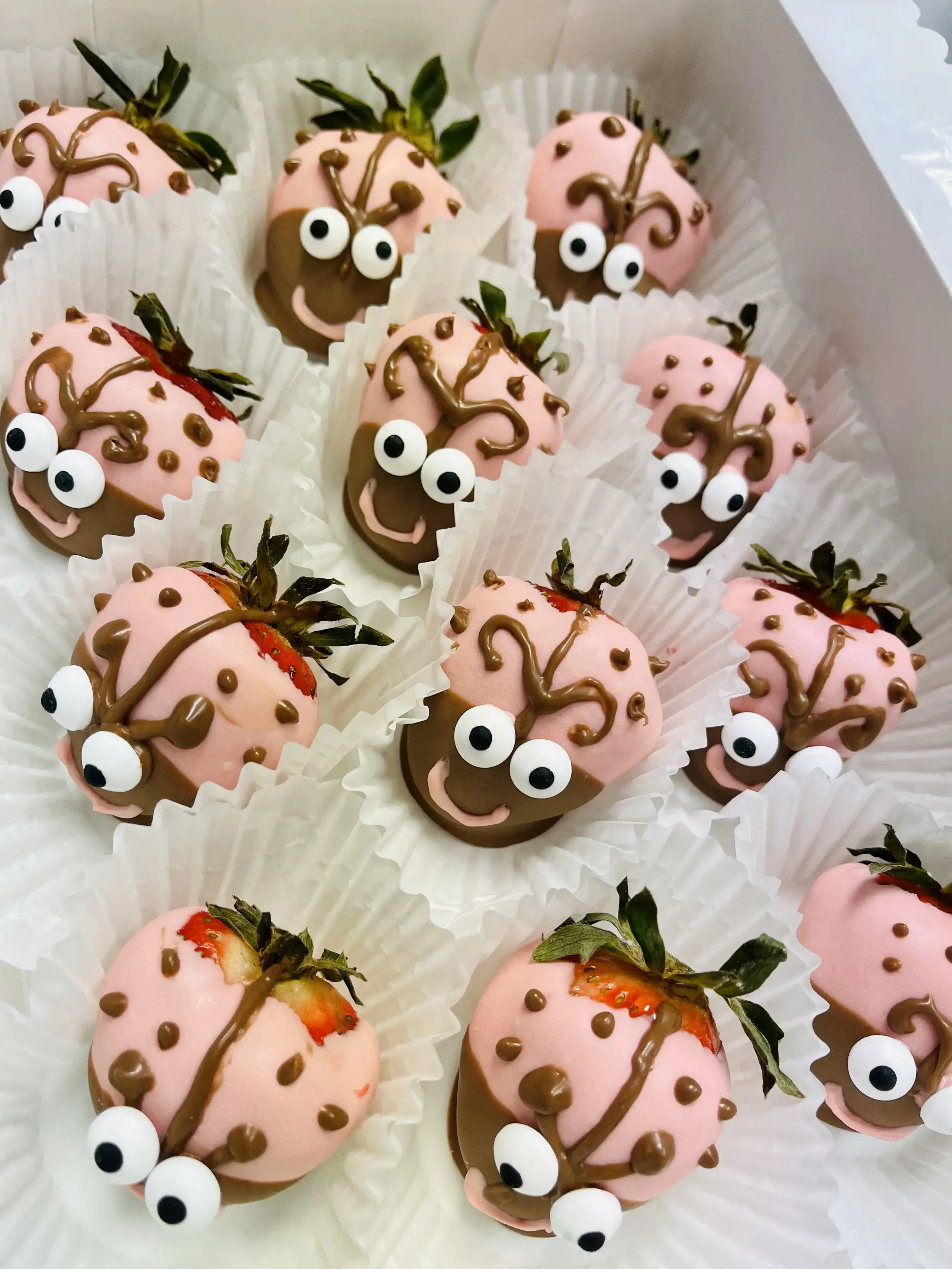 Lady Bugs Chocolate Dipped Strawberries