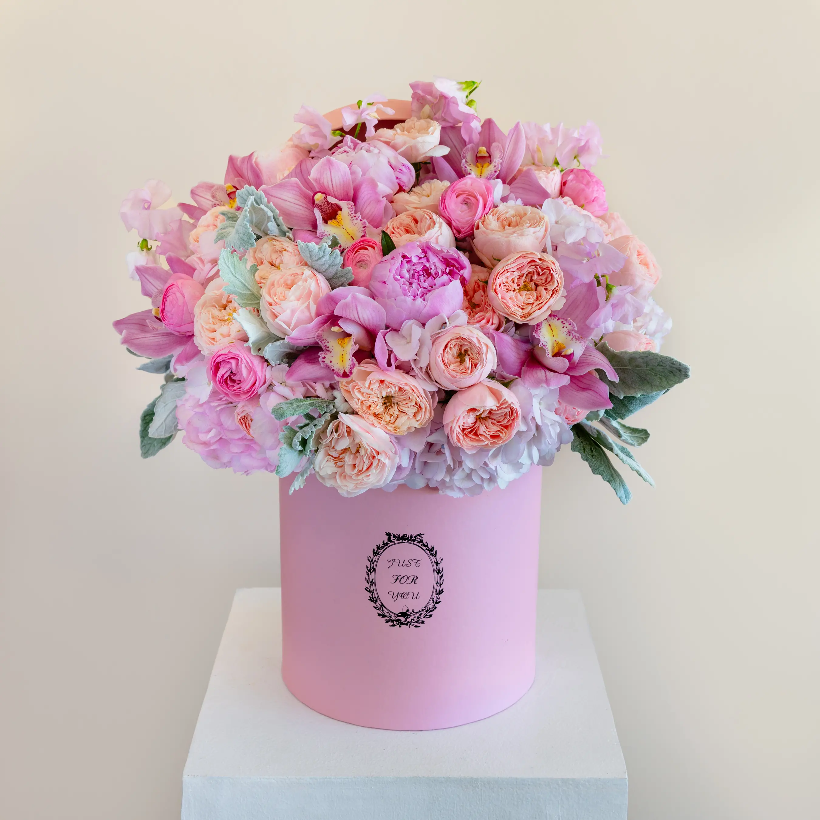 Pink Blossoms of Bliss