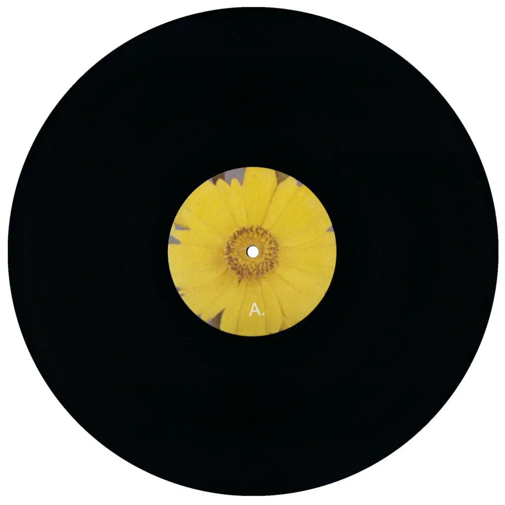 Green-House - Six Songs For Invisible Gardens - Vinyl