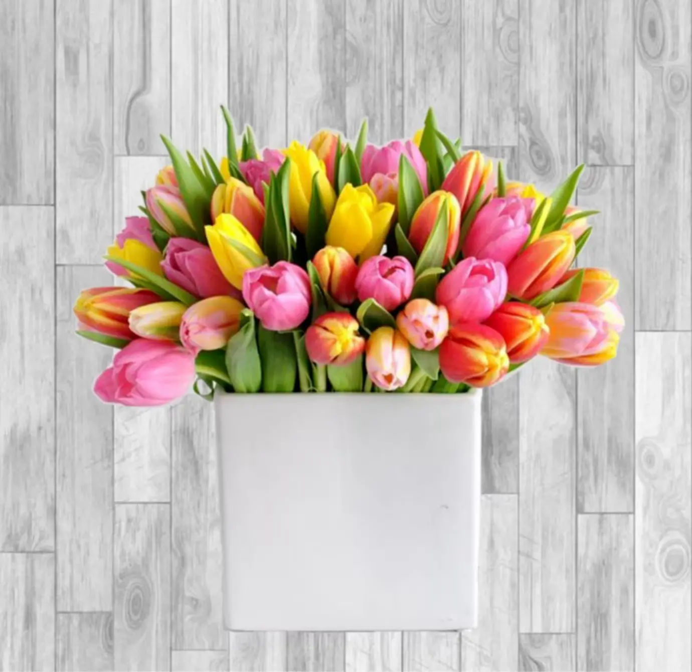 Color Bunches of Tulips