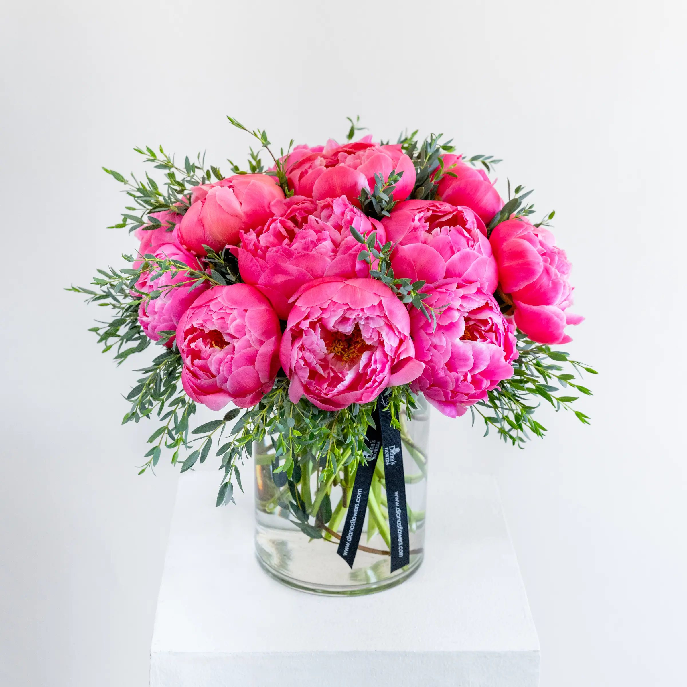 Pretty in Peony