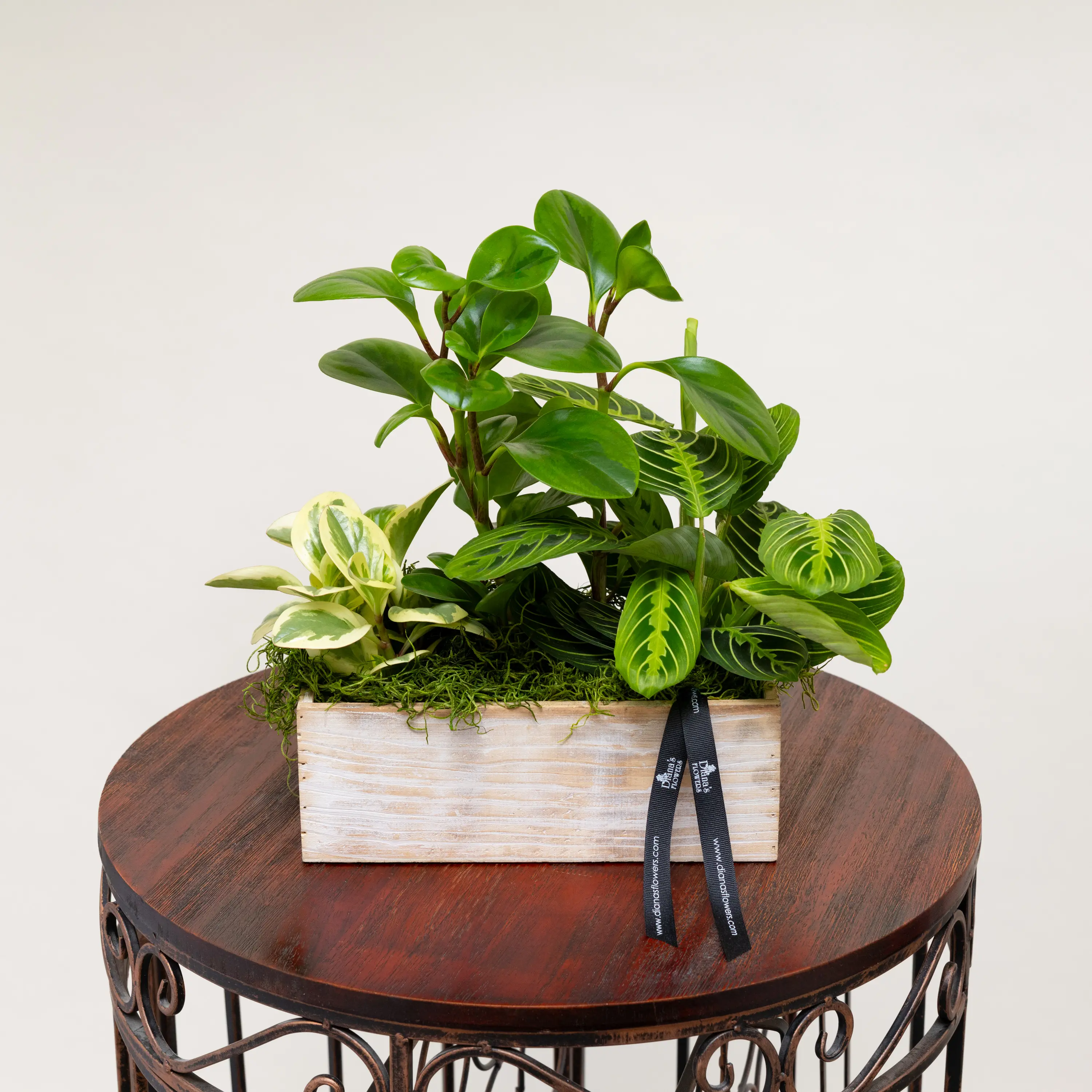 English Garden Planter - Medium