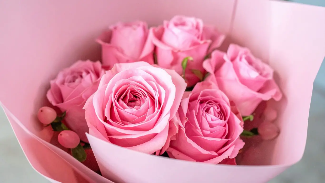 Half Dozen (6)Pink Roses  in Wrapped Bouquet in  , undefined undefined